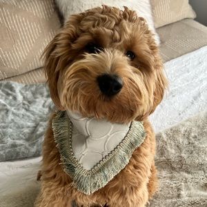 Cottage PHEBES | Bandana with Fringe